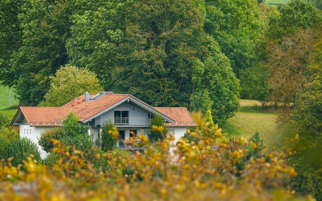 Expect the Spring Housing Market to Be Calm, but Competitive