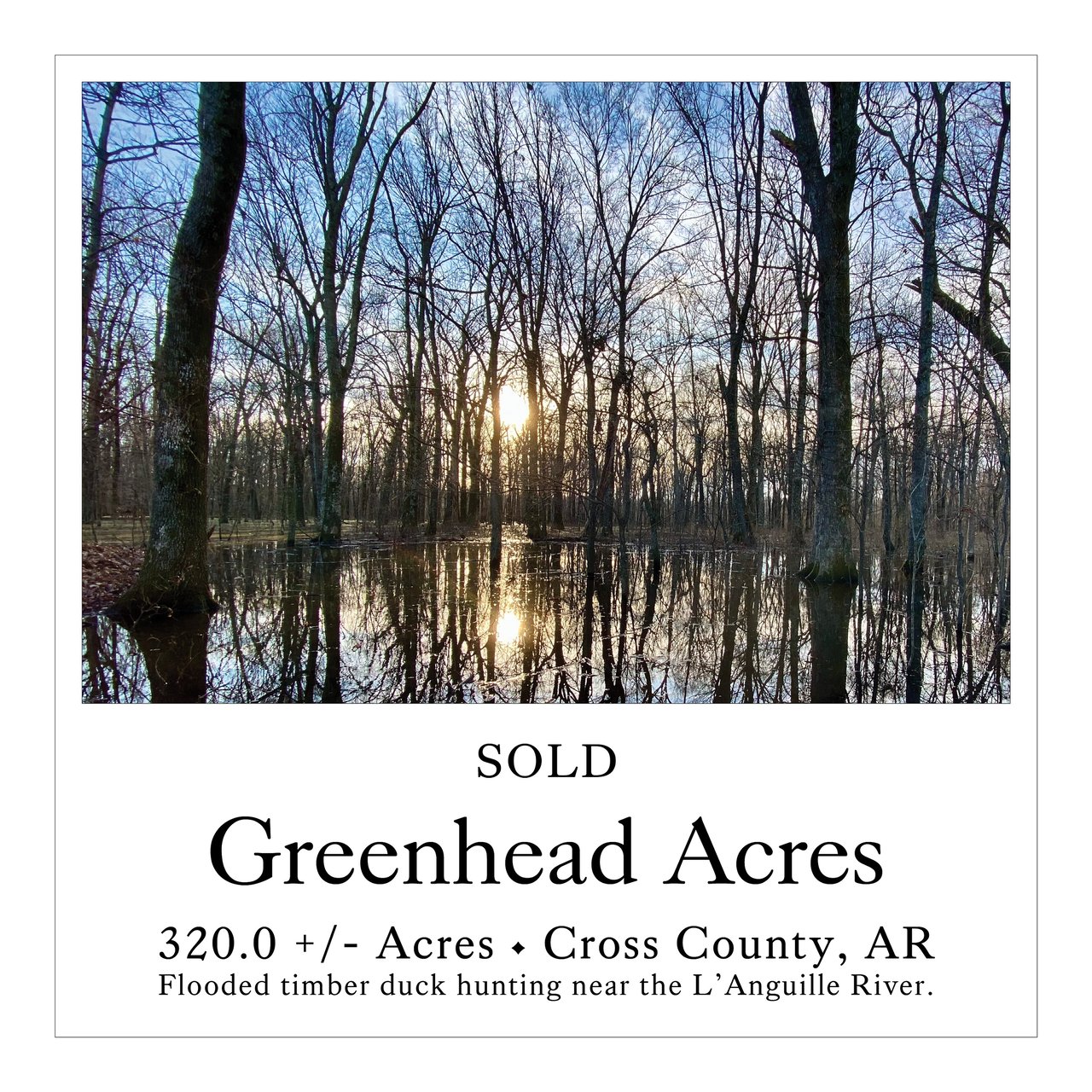 Greenhead Acres