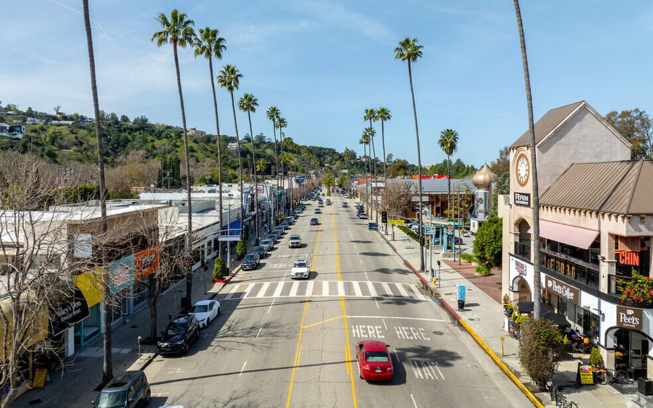 Studio City Ventura Boulevard palm tree corridor shops and dining San Fernando Valley Los Angeles
