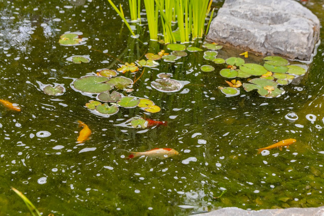 35 Tusslewood Drive NW