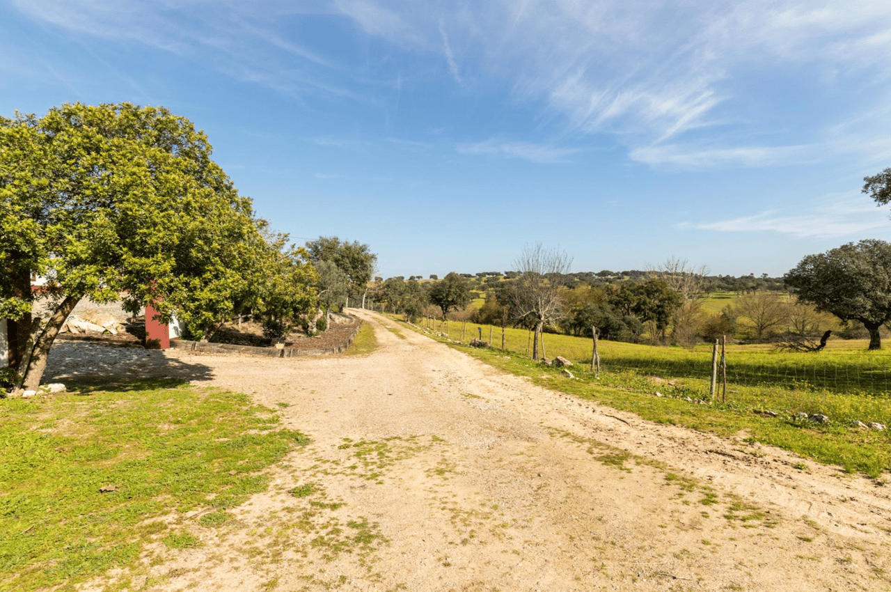 380-Hectare Countryside Equestrian Estate in Alentejo