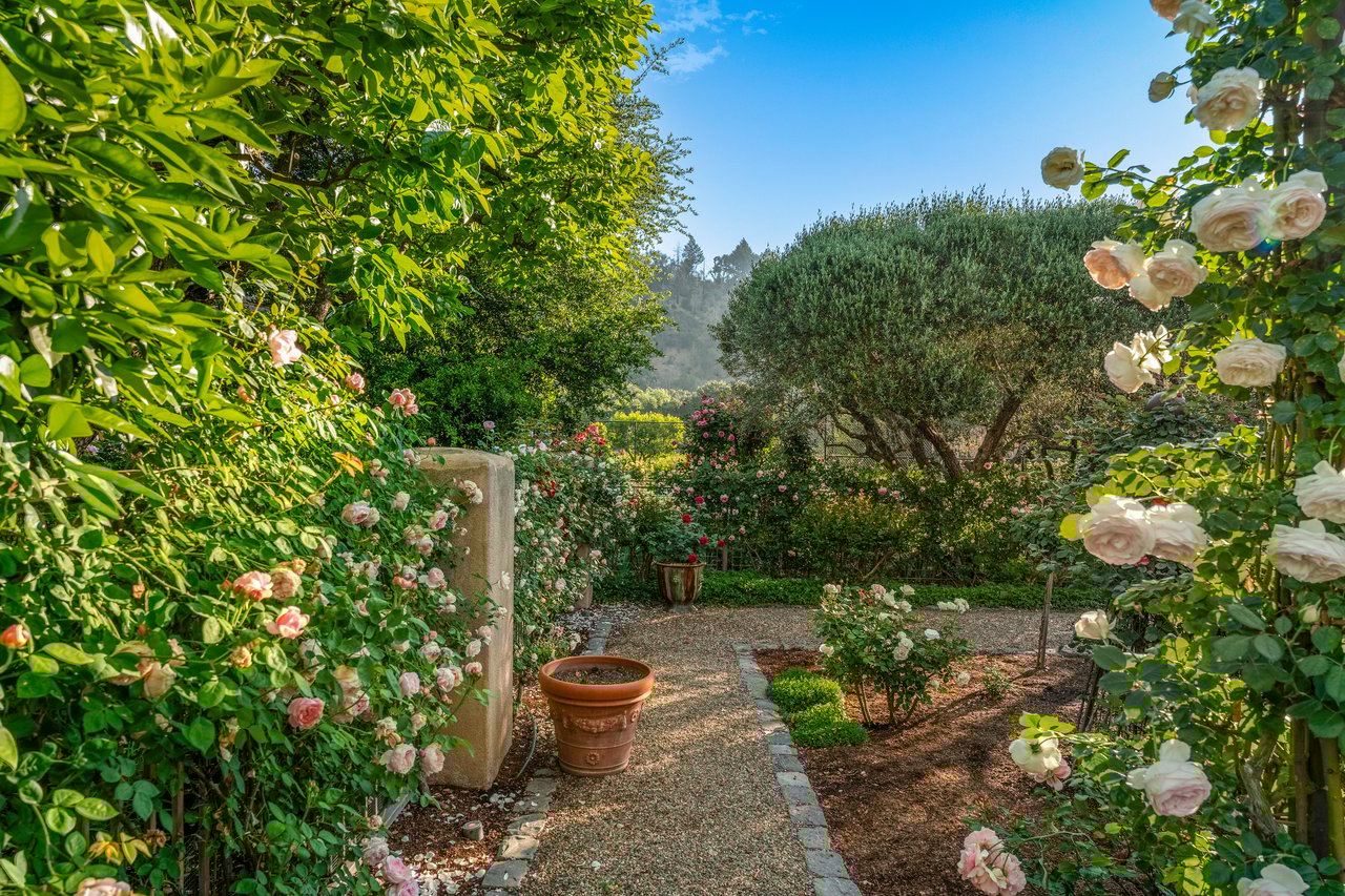 Mills Lane, St. Helena