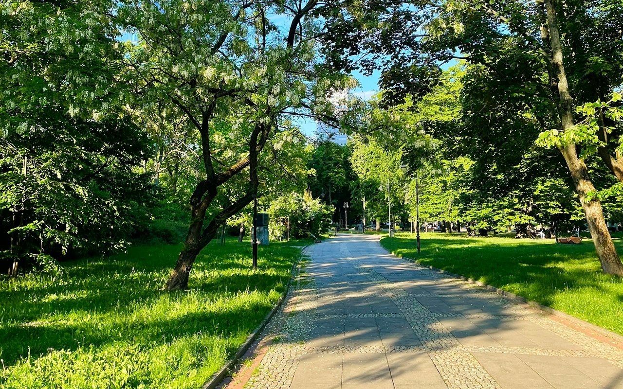 Paved park path winding beneath mature, flowering trees.