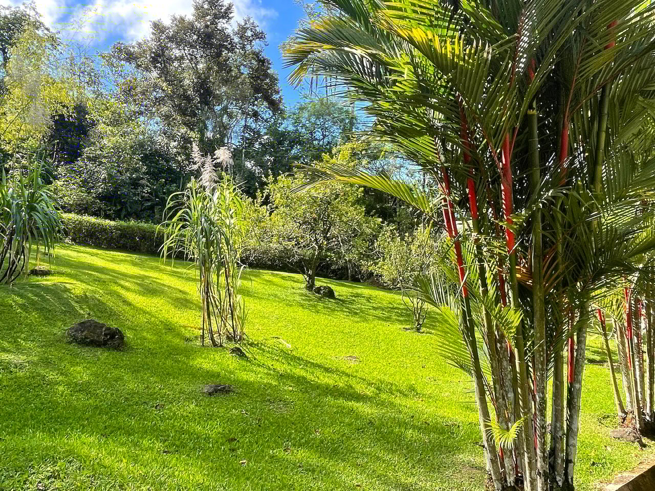 CASA TRANQUILA IN LAGUNAS – HOME, GUEST SUITE, SALON, AND GARAGE WITH WORKSHOP