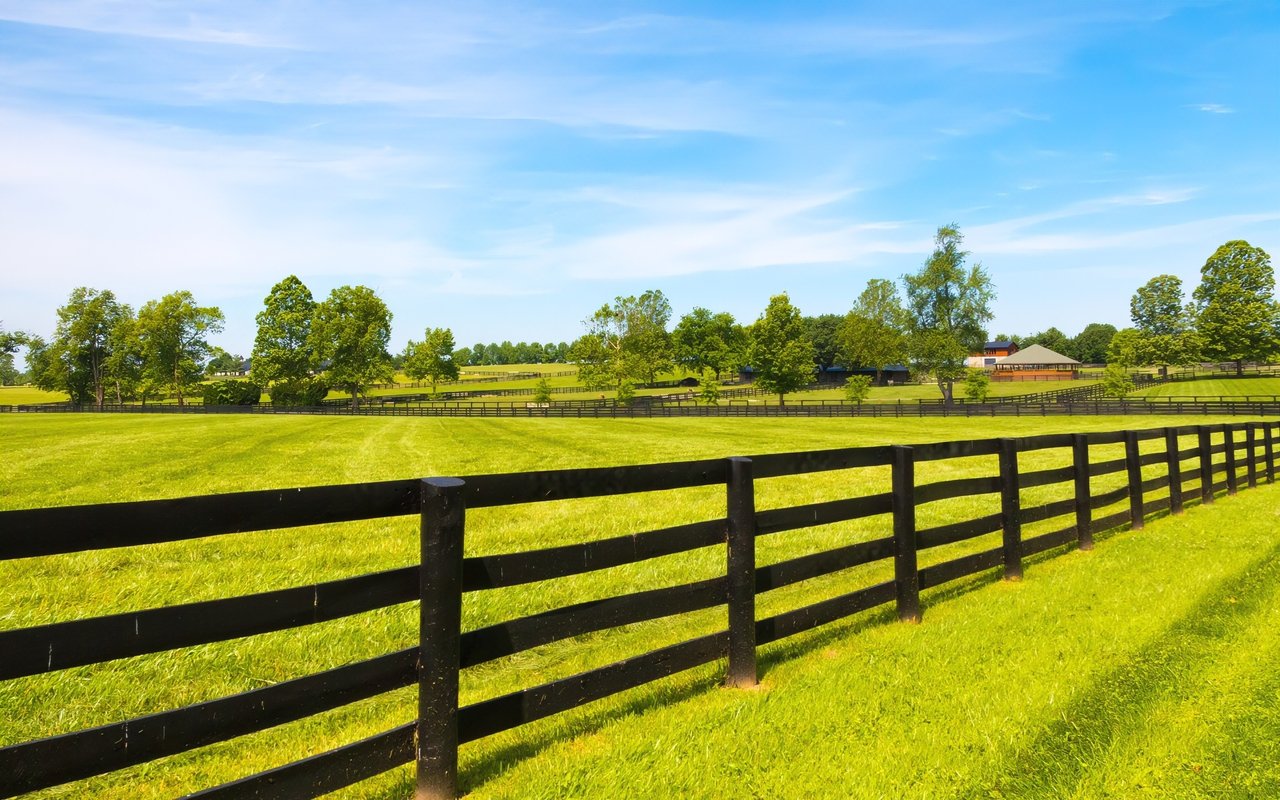 Haralson County