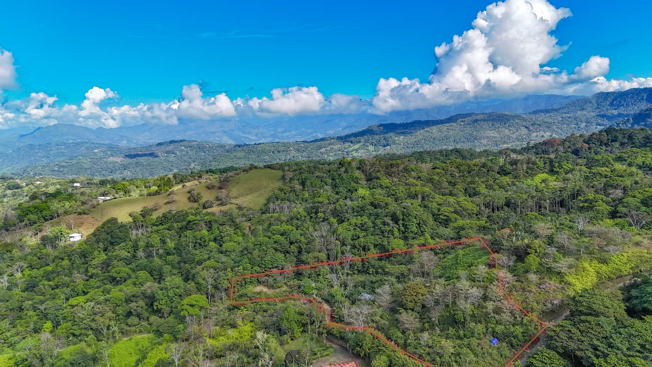 Tinamastes Costa Rica Property with Home, Yoga Deck & Land