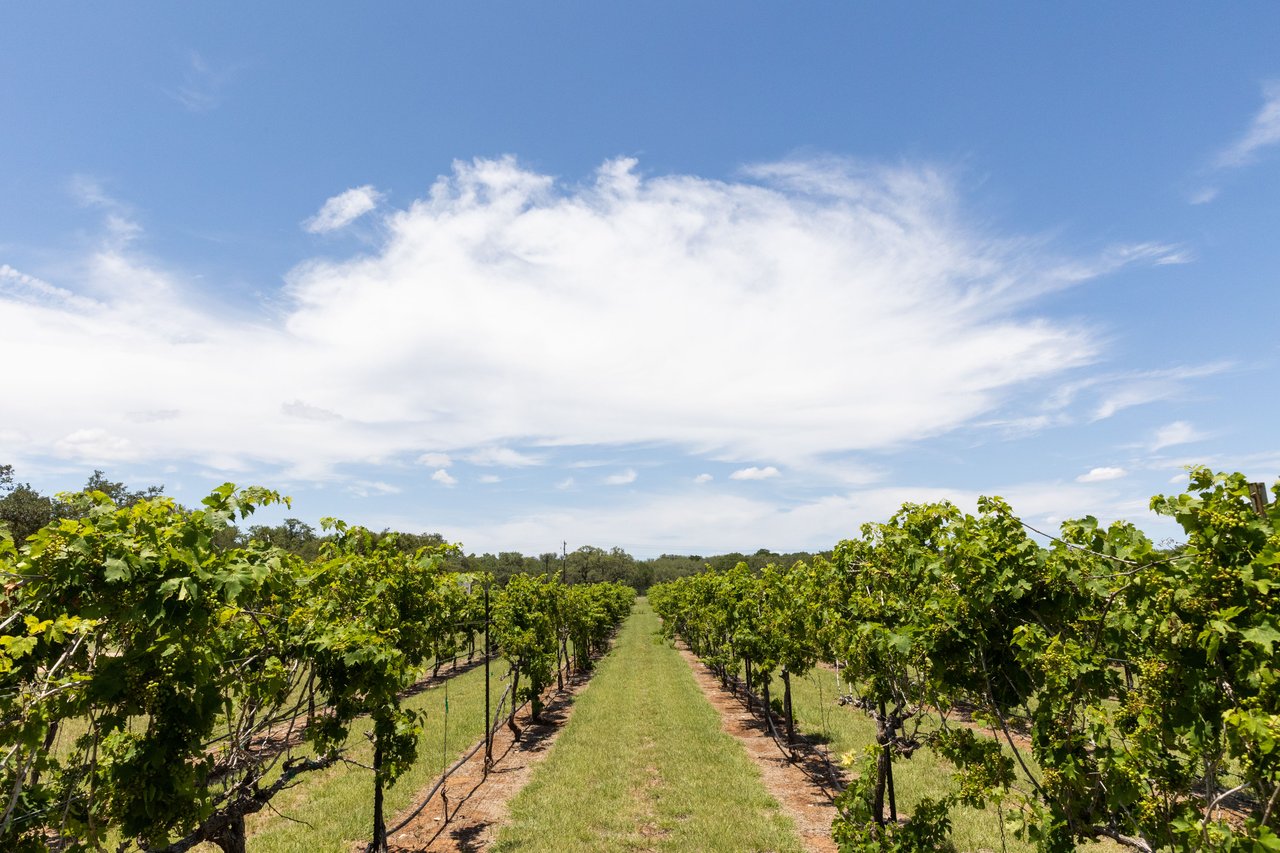Hidden Gems: Local Favorites in Dripping Springs