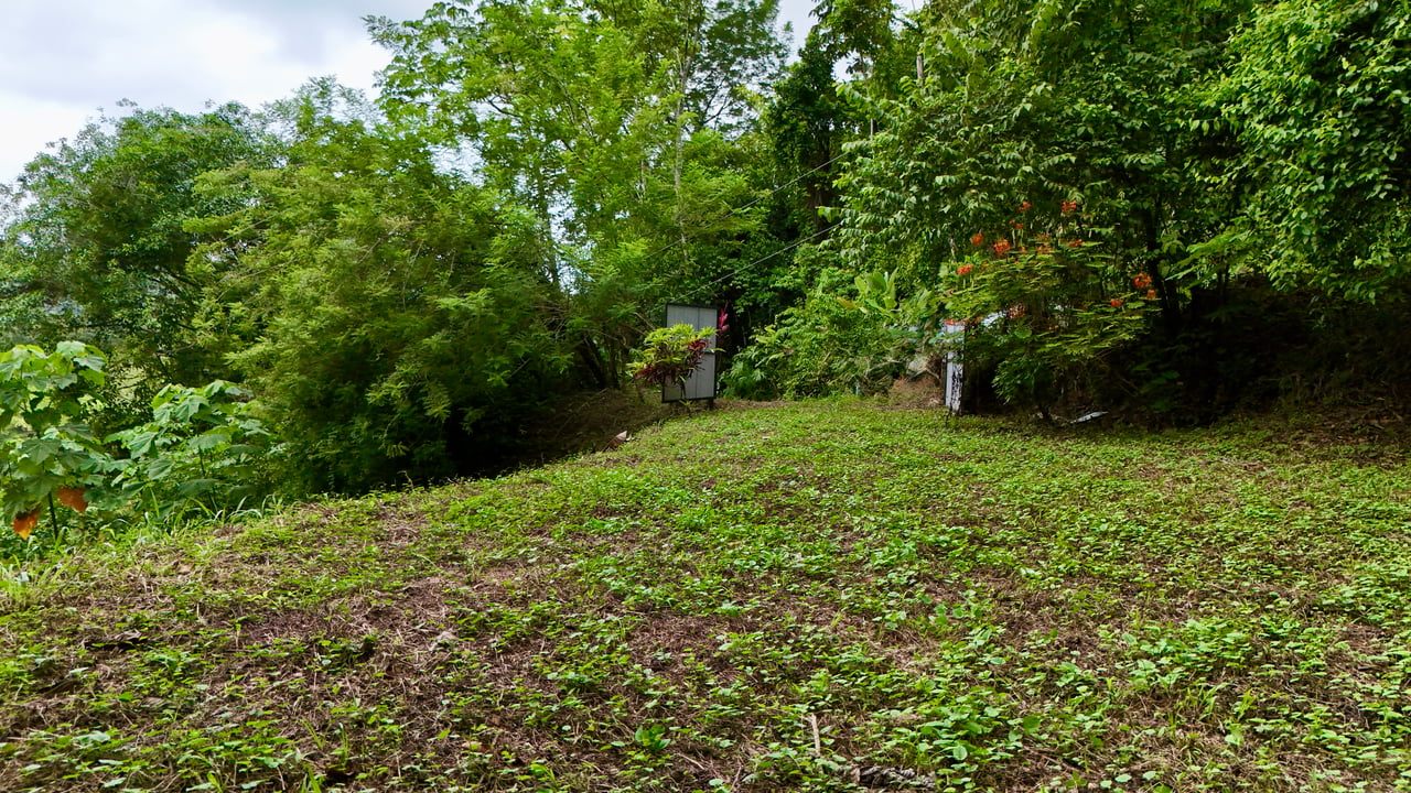 Tres Ríos Jungle Sanctuary | Ready-to-Build Lot Surrounded by Nature