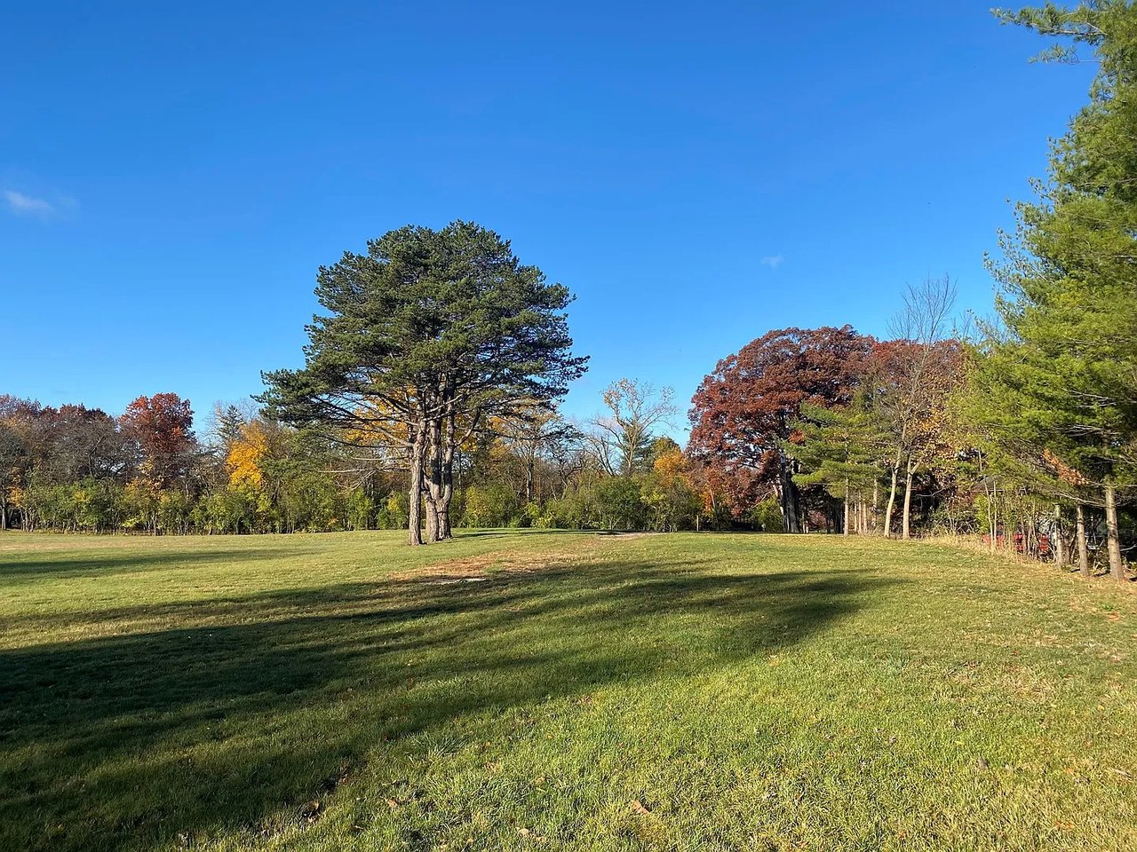 8401 S County Line Rd