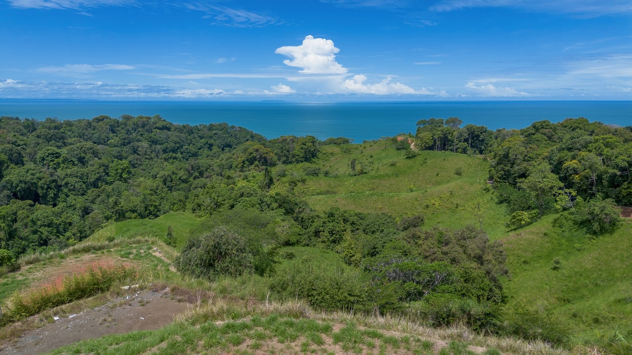  Luxury Ocean View Lot in Piñuelas - Premier Building Site 