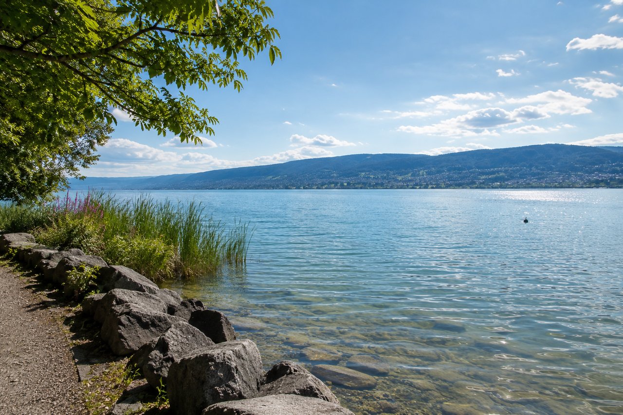 Luxury Living at Lake Zurich in Switzerland