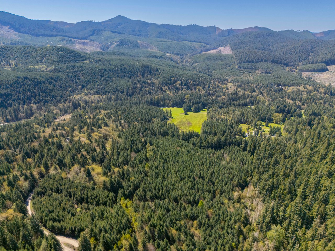 MOSBY CREEK FARM & FOREST