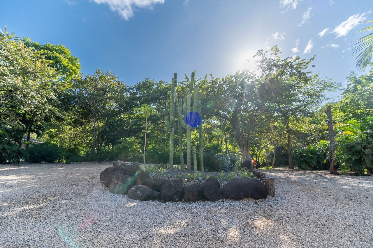 Mikado Natural Lodge | Turnkey Eco Lodge with Ocean Views & Expansion Potential in Guanacaste