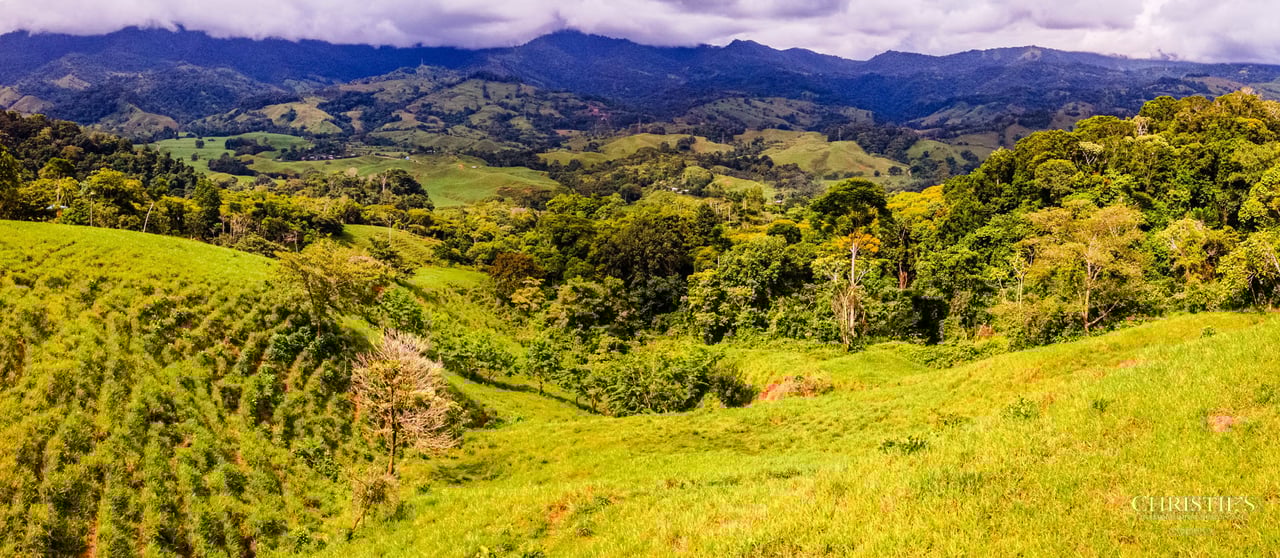 El Encanto Estate Waterfall, Regenerative Land & Carbon‑Neutral Sanctuary a Legacy Property