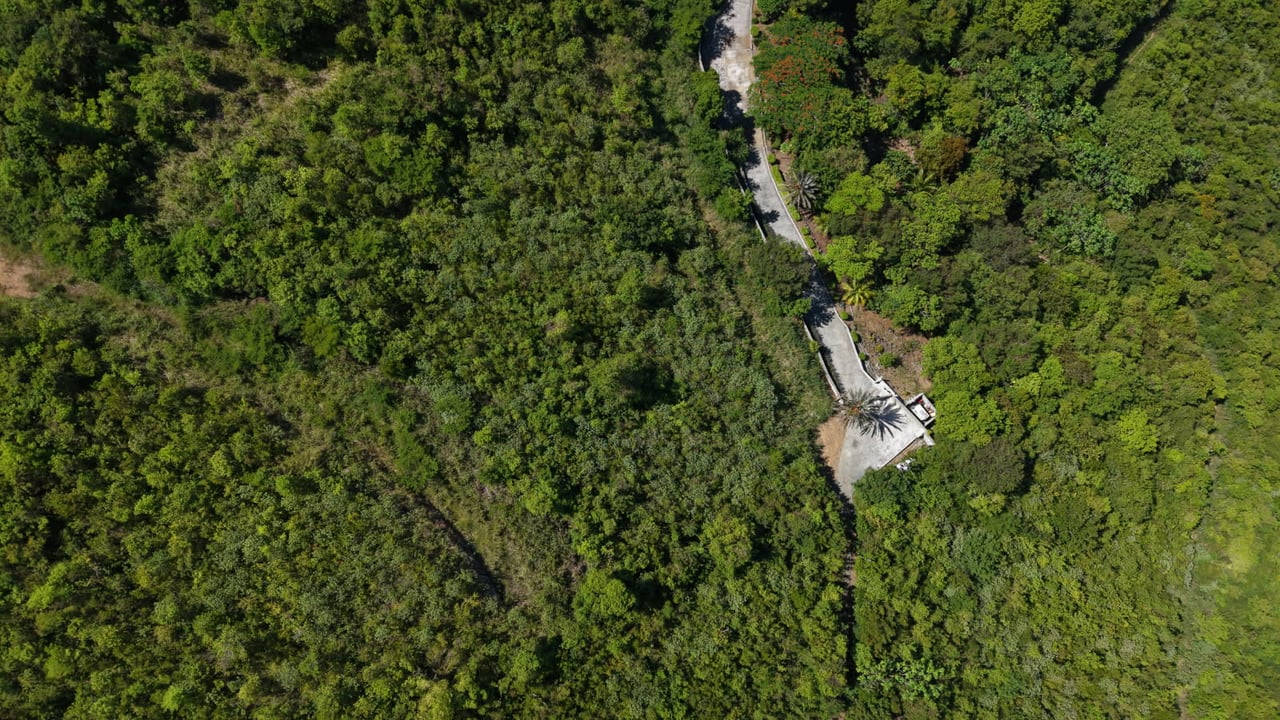 1070 Premium Lot in Fahie Hill