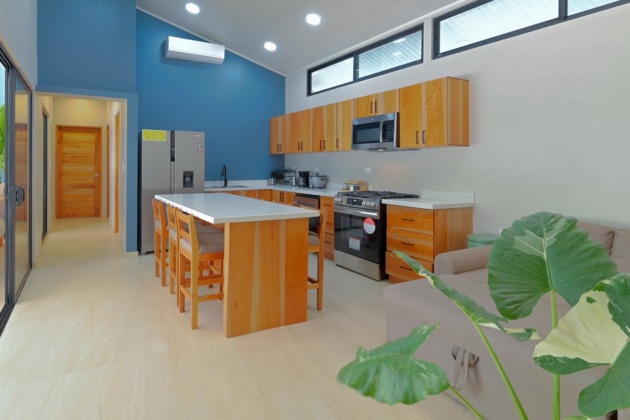 Modern Coastal Luxury: New 3-Bedroom Home Steps from South Pacific Beach