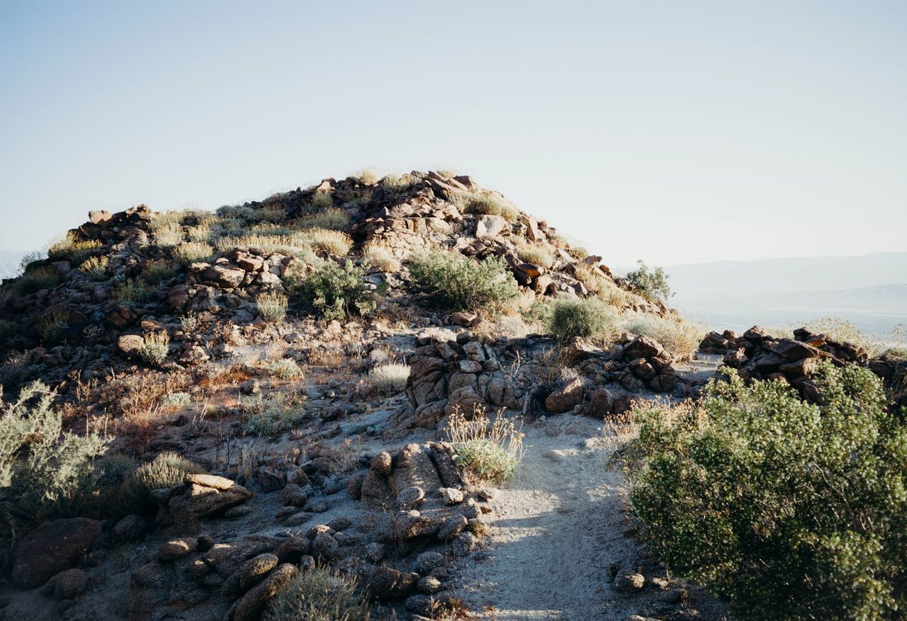 Father’s Day in the Desert: The Ultimate Guide to Celebrating Dad in Greater Palm Springs