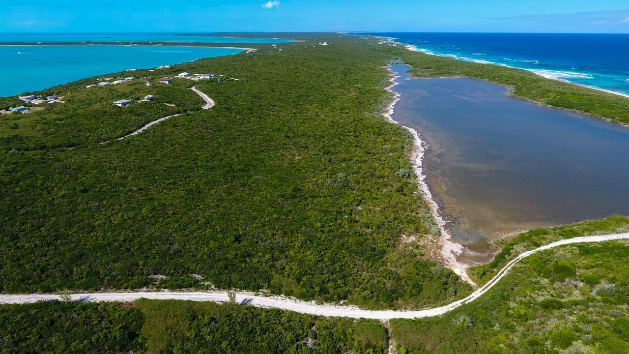 Salt Pond, Long Island