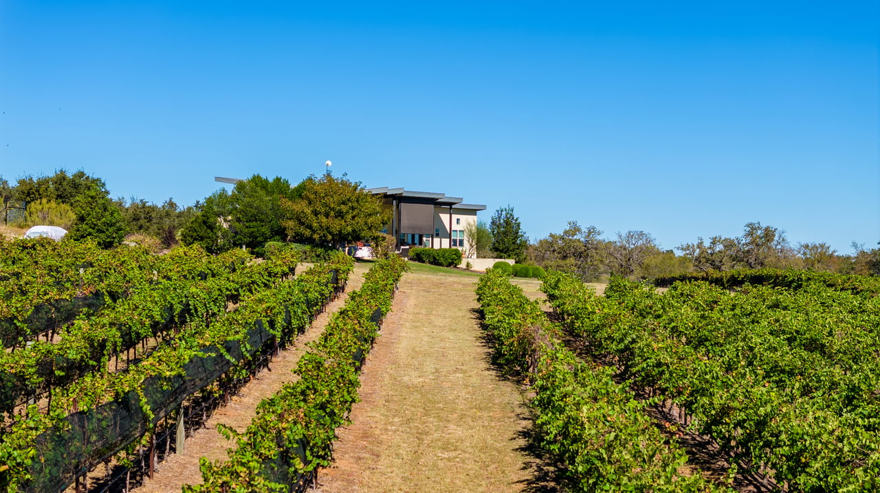 Round Mountain Vineyard