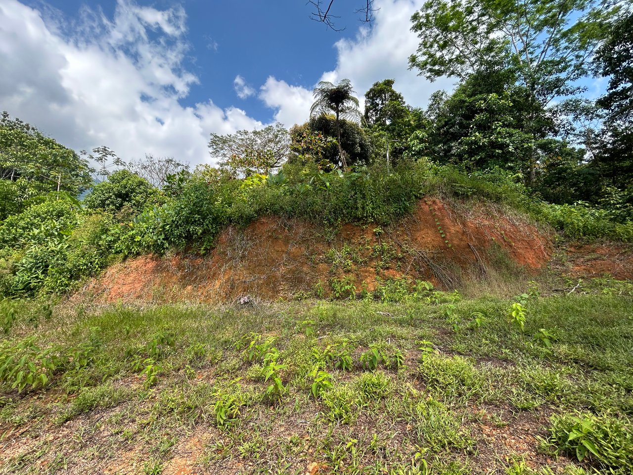 Beautiful Lot in Phase 9 Ojochal, Gated Communuity 