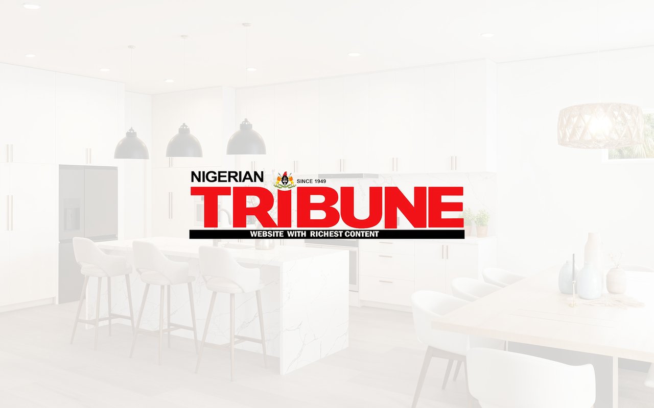 What London's Deal Meant for Nigeria's Construction, Real Estate Sector —Oyedele