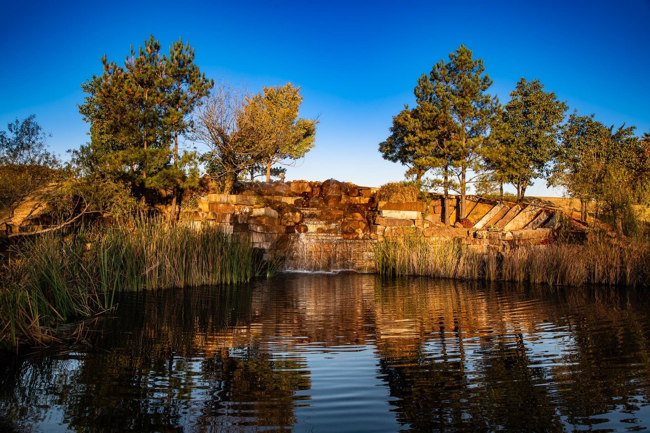 Esperanza Ranch Offered for Sale | A Rare Investment, Lifestyle, and Legacy Opportunity - Wyatt Poindexter - The Agency