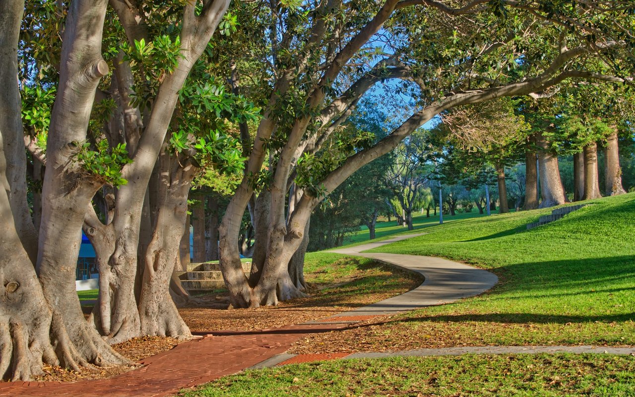 Winding park path curves beneath mature trees beside a broad green lawn.