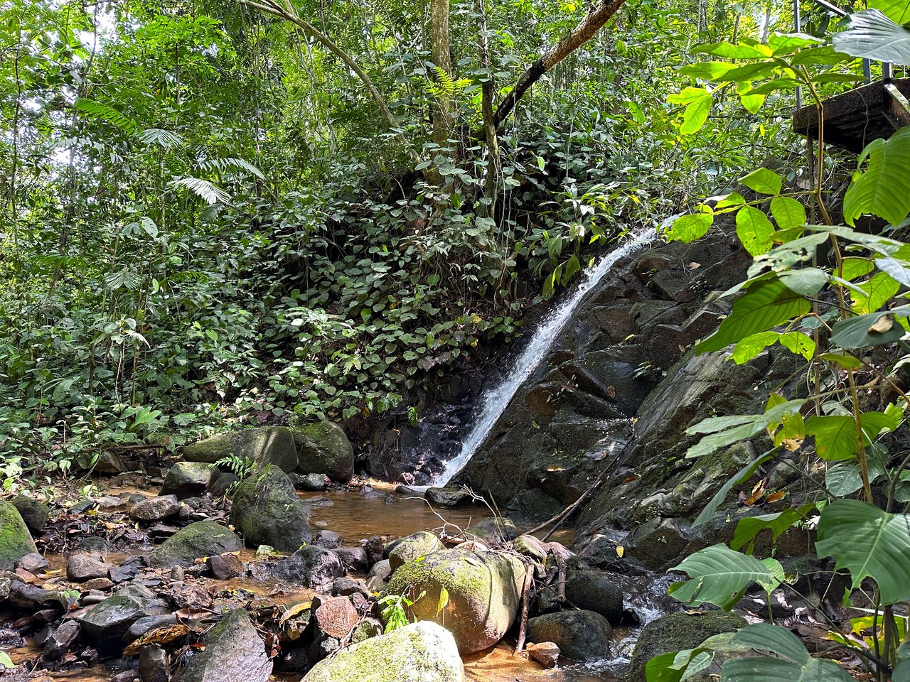 FIRE SALE! Jungle, Rivers, a Waterfall and Panoramic Ocean View
