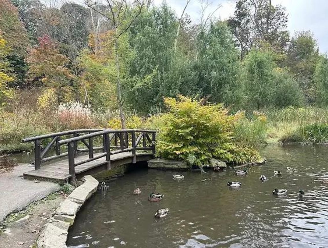 Living in Etobicoke’s Most Desirable Neighbourhoods: Old Mill & Edenbridge–Humber Valley