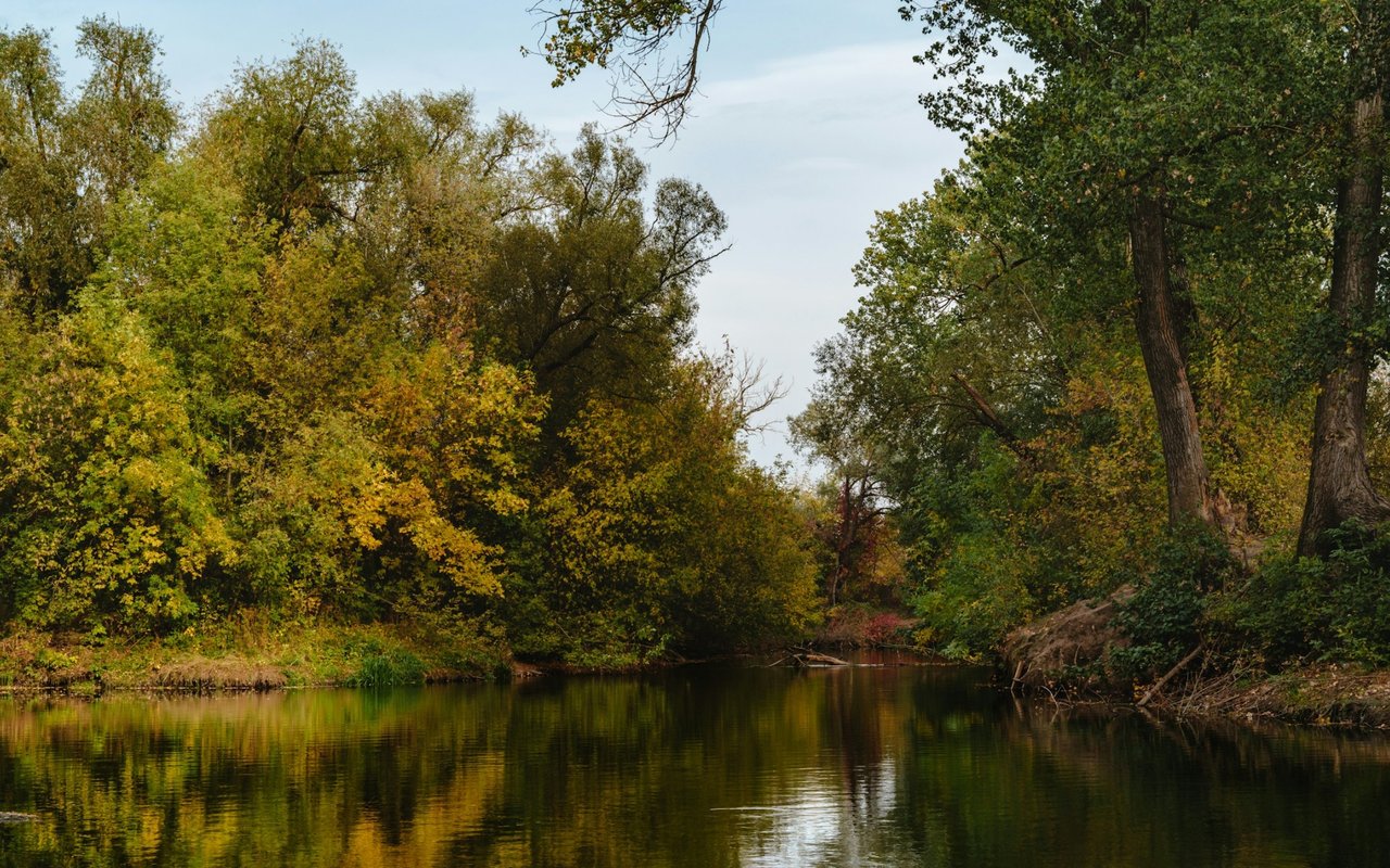 A tree-lined river in Fort White, its green and yellow foliage reflected in the water.