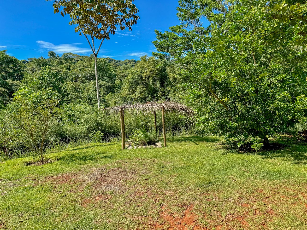 Jungle River Retreat with Airbnb & Build Space in Ojochal