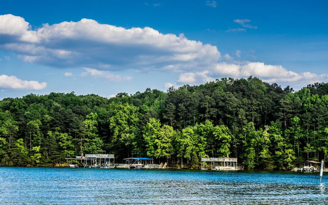 Homes on Lake Lanier