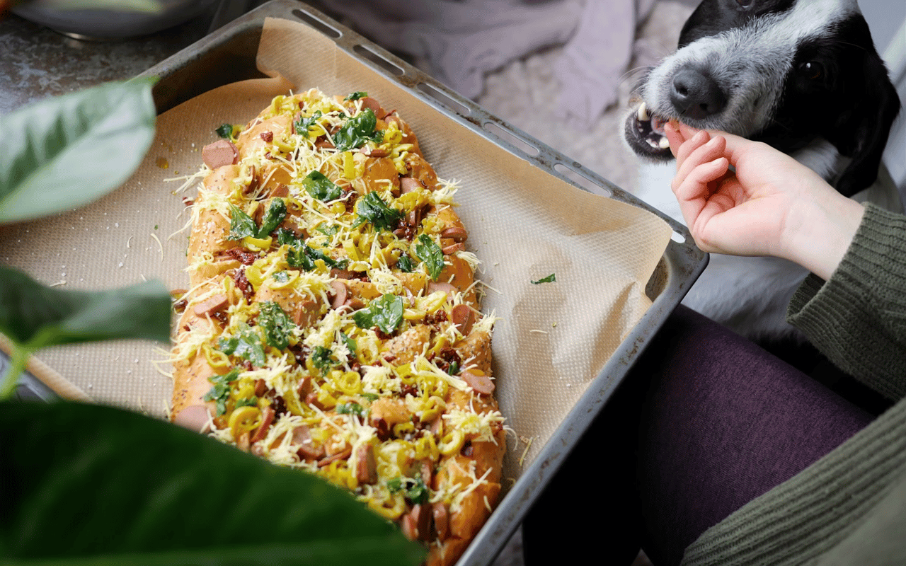 Pet-Friendly Restaurants Near La Cañada Flintridge