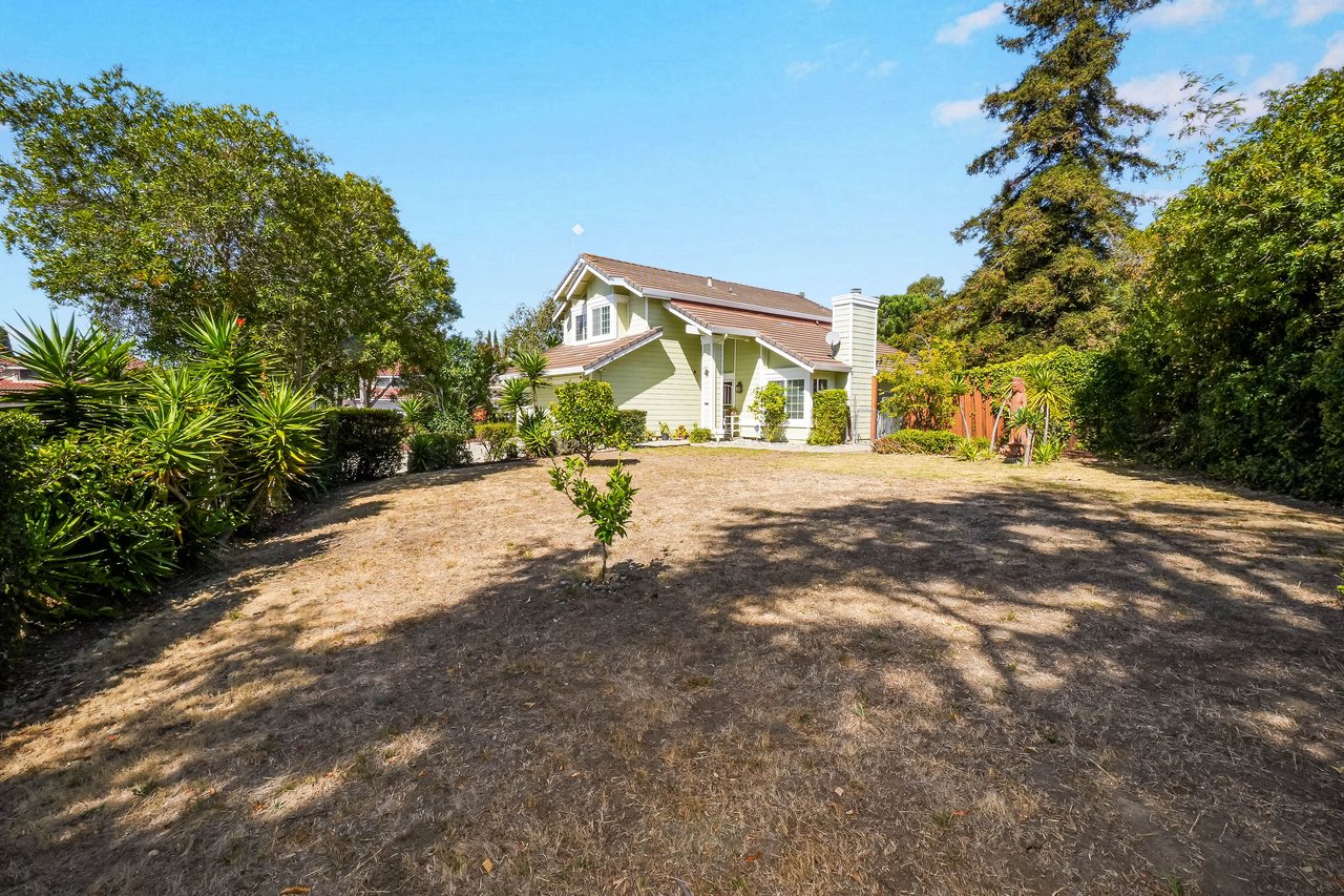 Light-green house beyond a dry backyard bordered by mature trees and spiky landscaping.