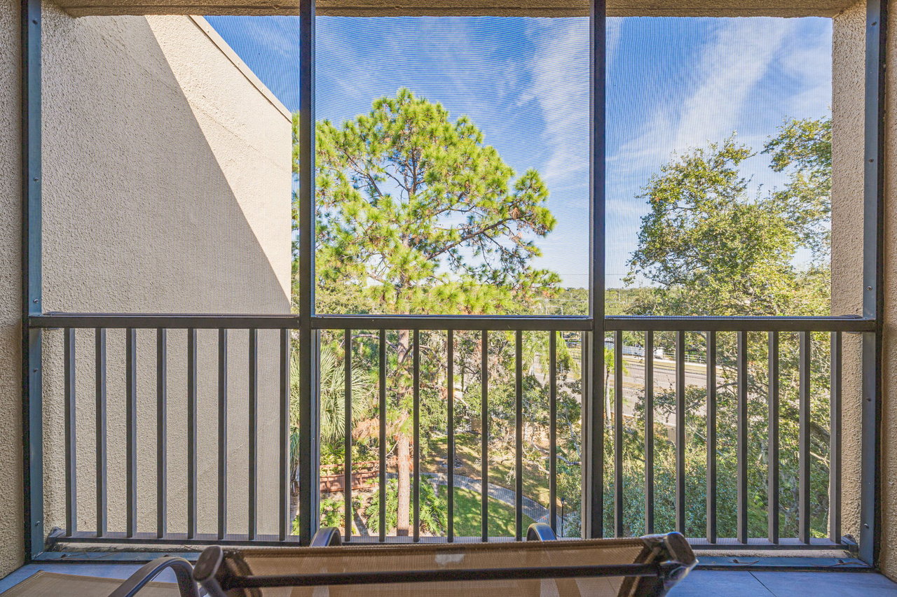 1 Bedroom Condo in Clearwater