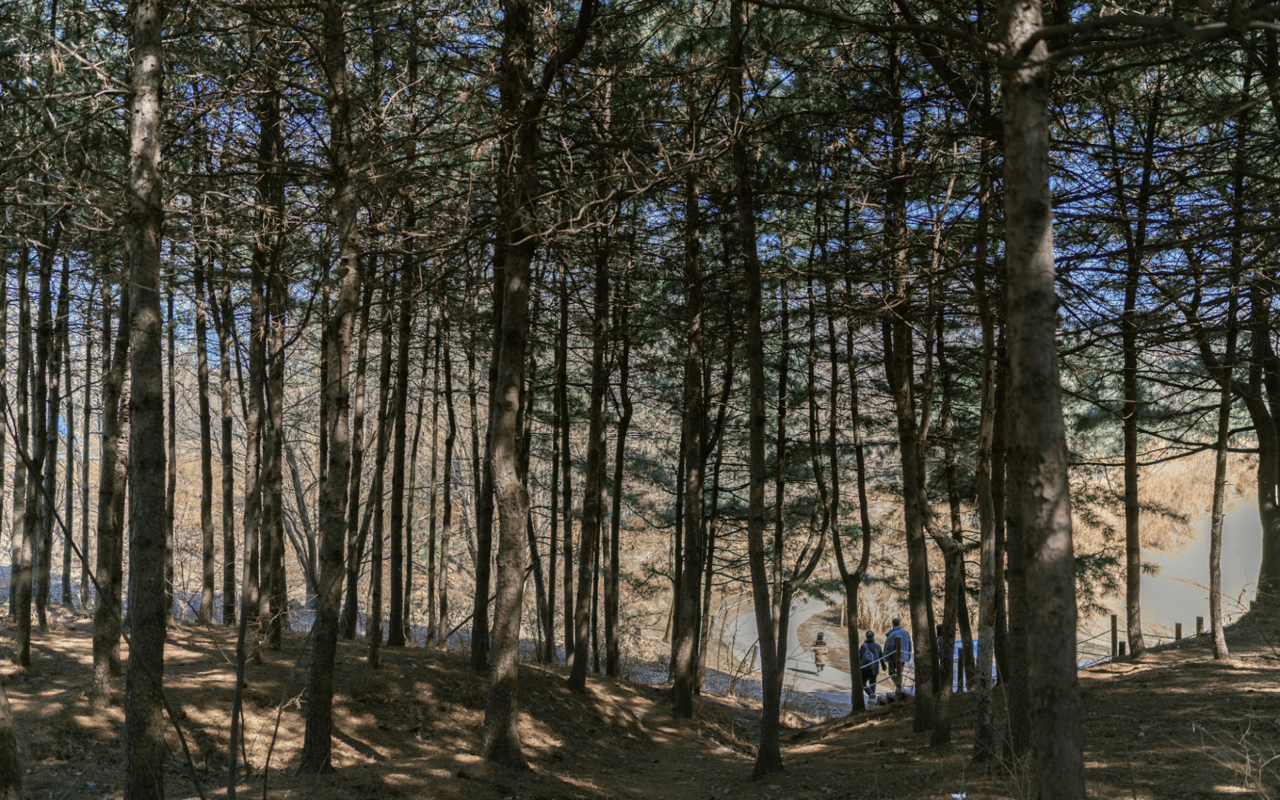 Hiking in North New Jersey