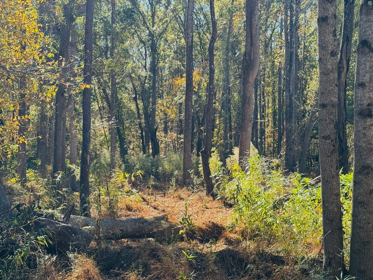 Build Your Dream Home at 231 Green Meadows Circle, Anderson, SC 29625