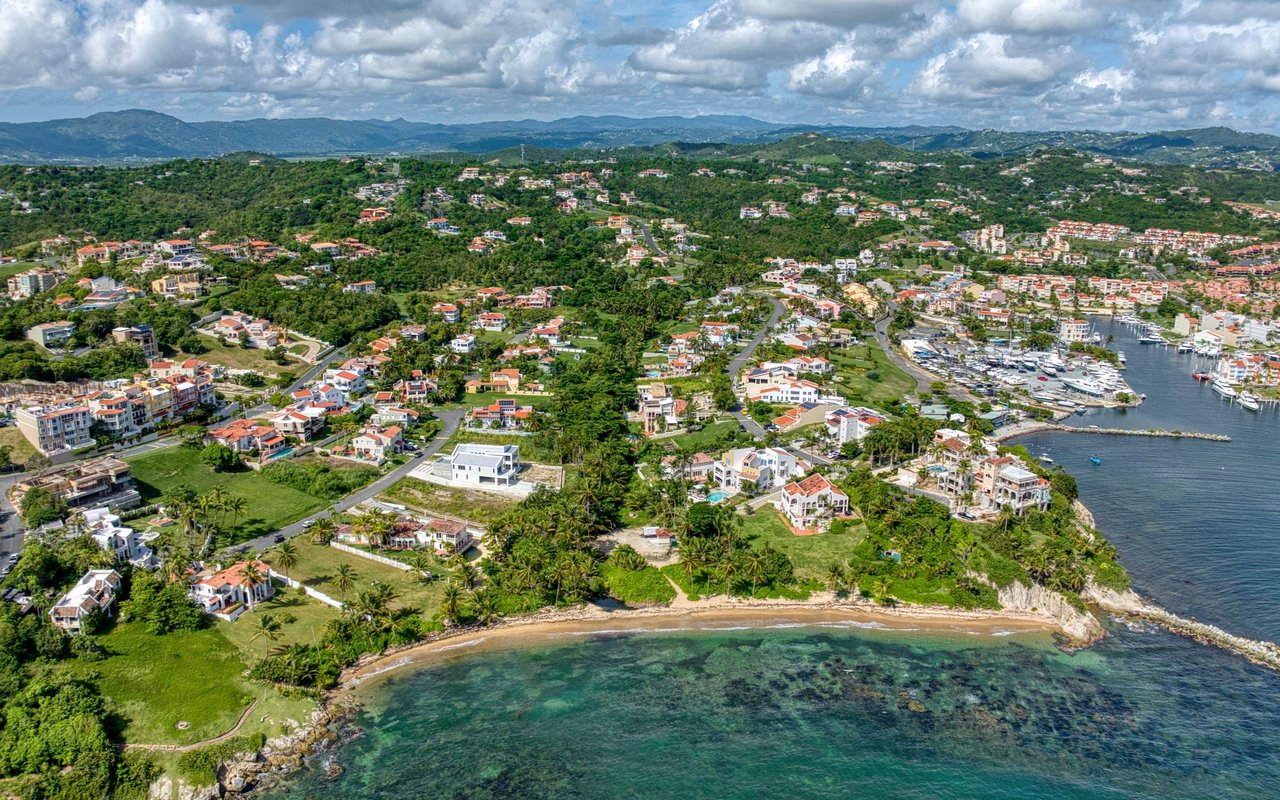 Palmas del Mar