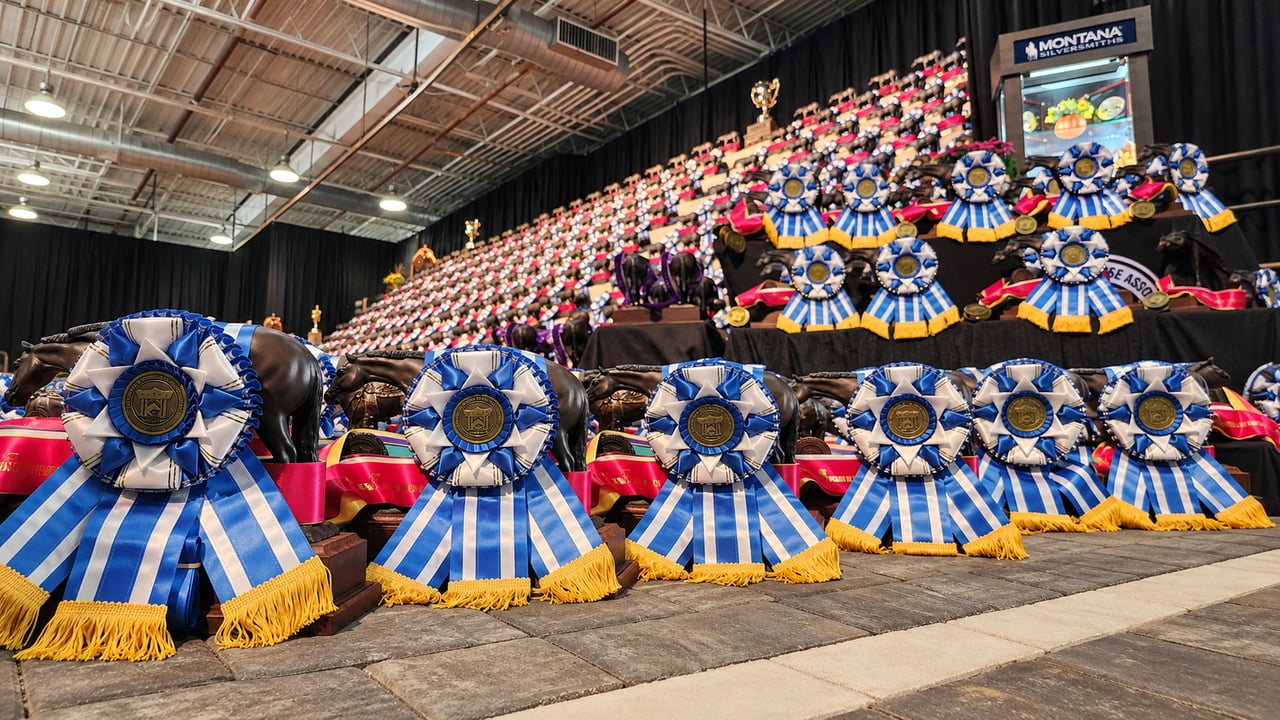 Rows of bronze horse trophies and blue-and-white championship rosettes on display at the All American Quarter Horse Congress in Columbus, Ohio