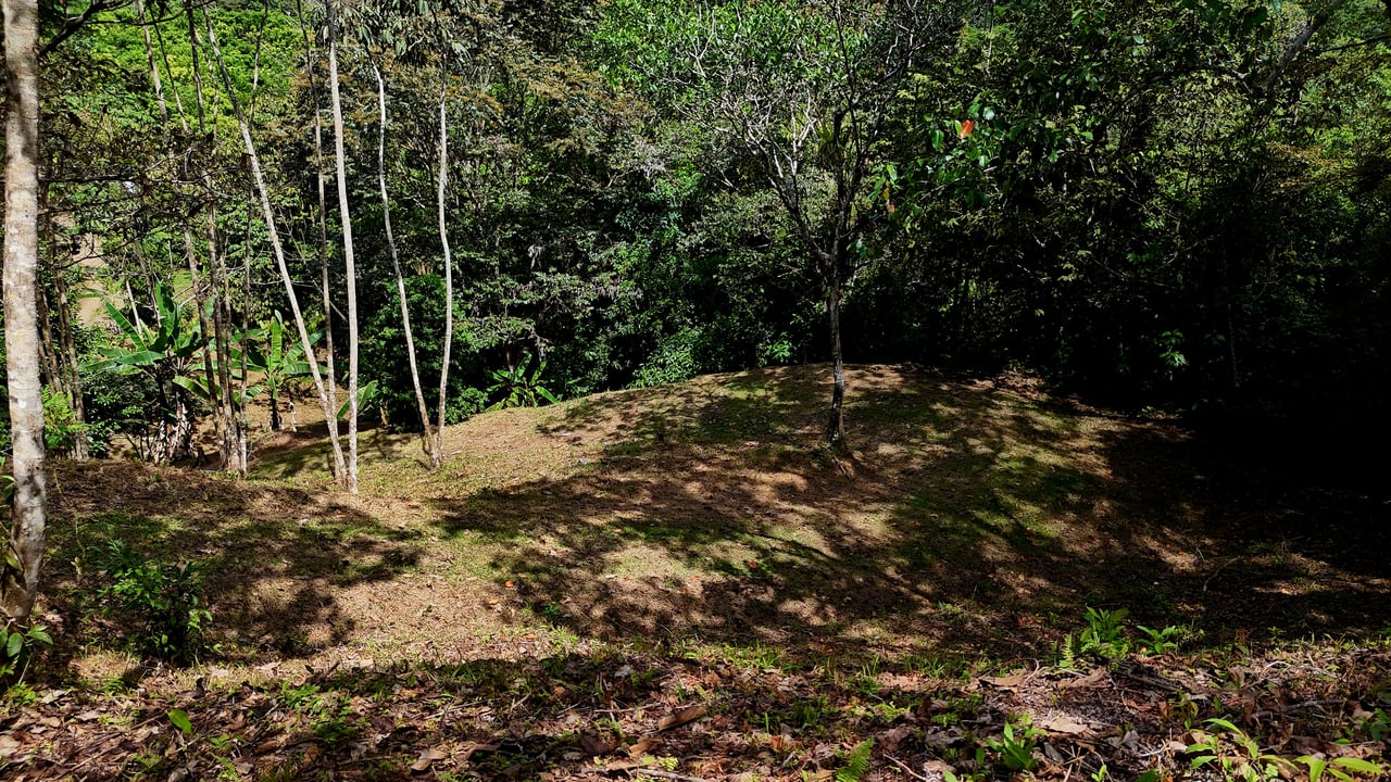 Beautiful mountain view land located in a quiet community in Ojochal. 