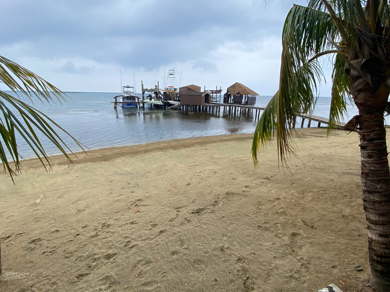 Turtle Casa Beachfront Vacation Villa