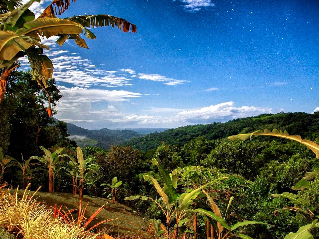 2.35 ACRES- 2 Bedroom Colorful Jungle Home With Ocean Views, Privacy, Room To Build More, Only 10 Min To Dominical!!!