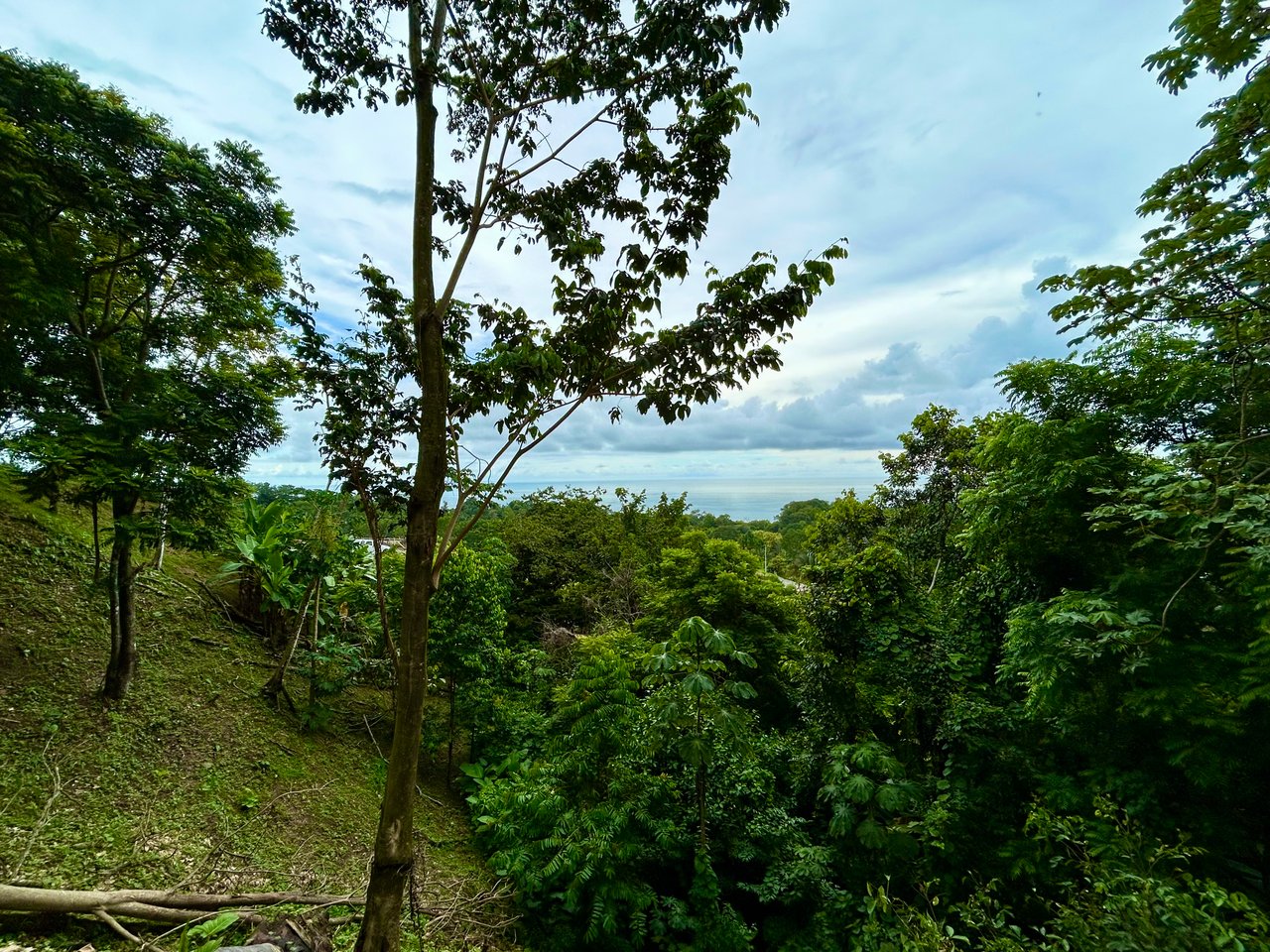 Ocean View Property in Playa Hermosa - Over 1 Acre