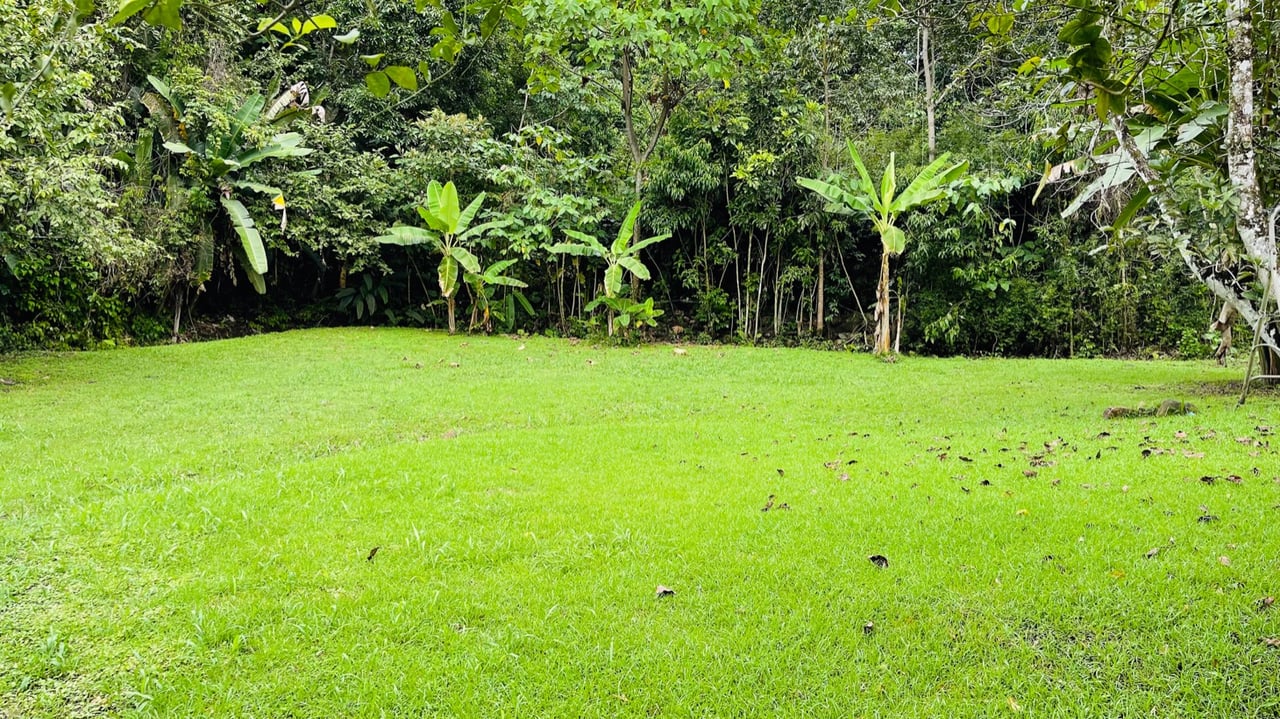 Versatile Multi-Unit Property with Income and Expansion Potential