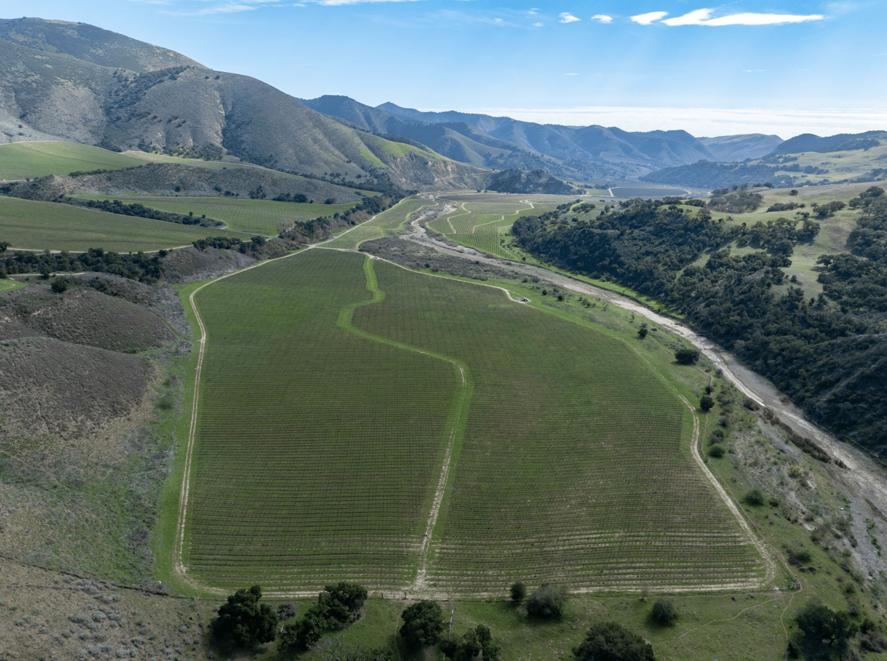 A vineyard of this caliber rarely comes to market.