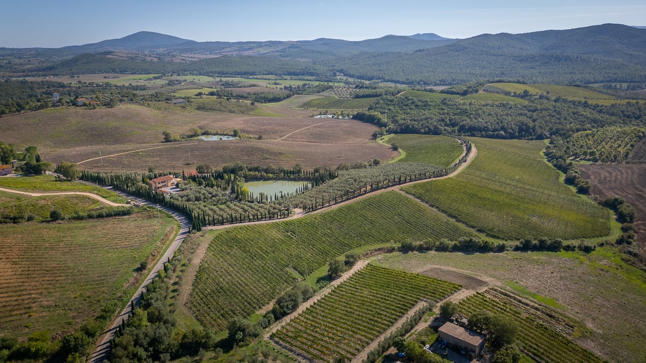 IL LEONE DEL FIORA