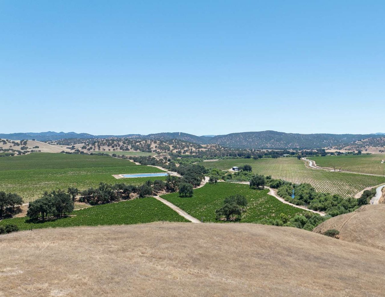 Joseph Vineyard | 76987 Nacimiento Lake Drive