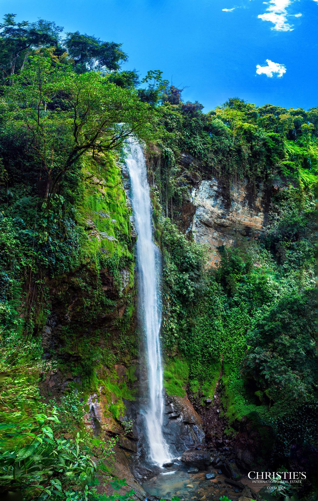 El Encanto Estate a Legacy Property, Waterfall Regenerative Land and Carbon Neutral Sanctuary