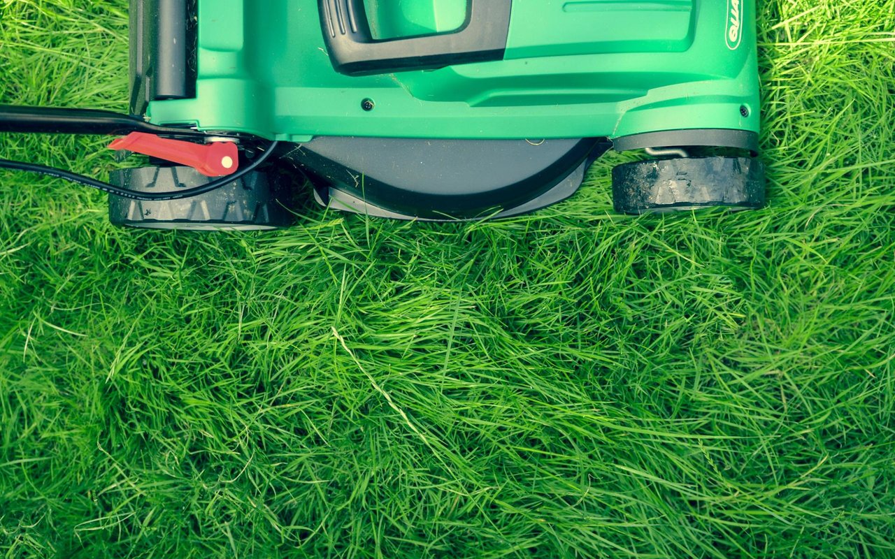 9 Tips for Landscaping in Jersey City to Maximize Curb Appeal