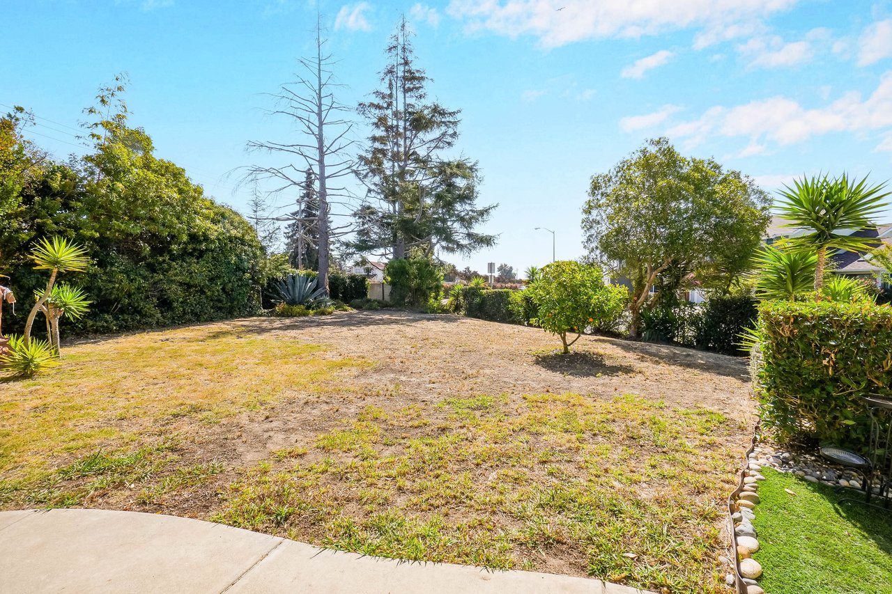 Backyard with a broad dry lawn, mature trees, and a curved concrete walkway.